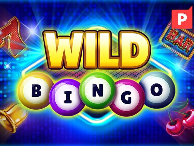 bet 06 Bingo Selvagem